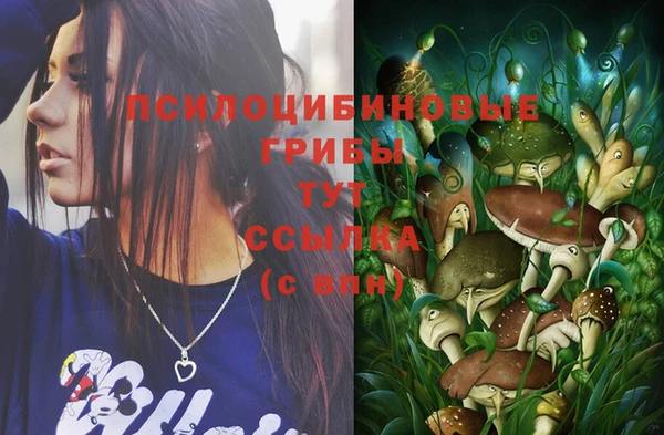 крисы Абинск