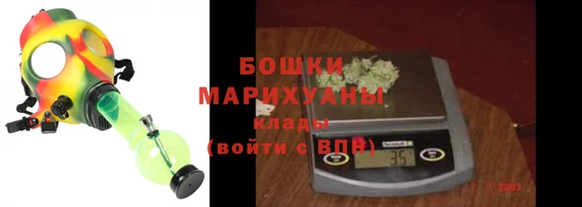 гидра Горняк