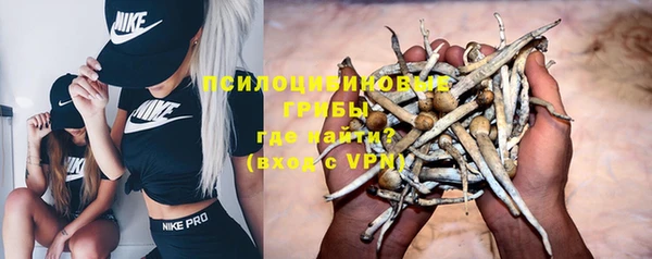 прущие крисы Пересвет