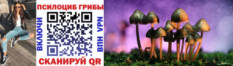 Псилоцибиновые грибы Magic Shrooms Карталы